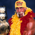 Incredible Hulkster